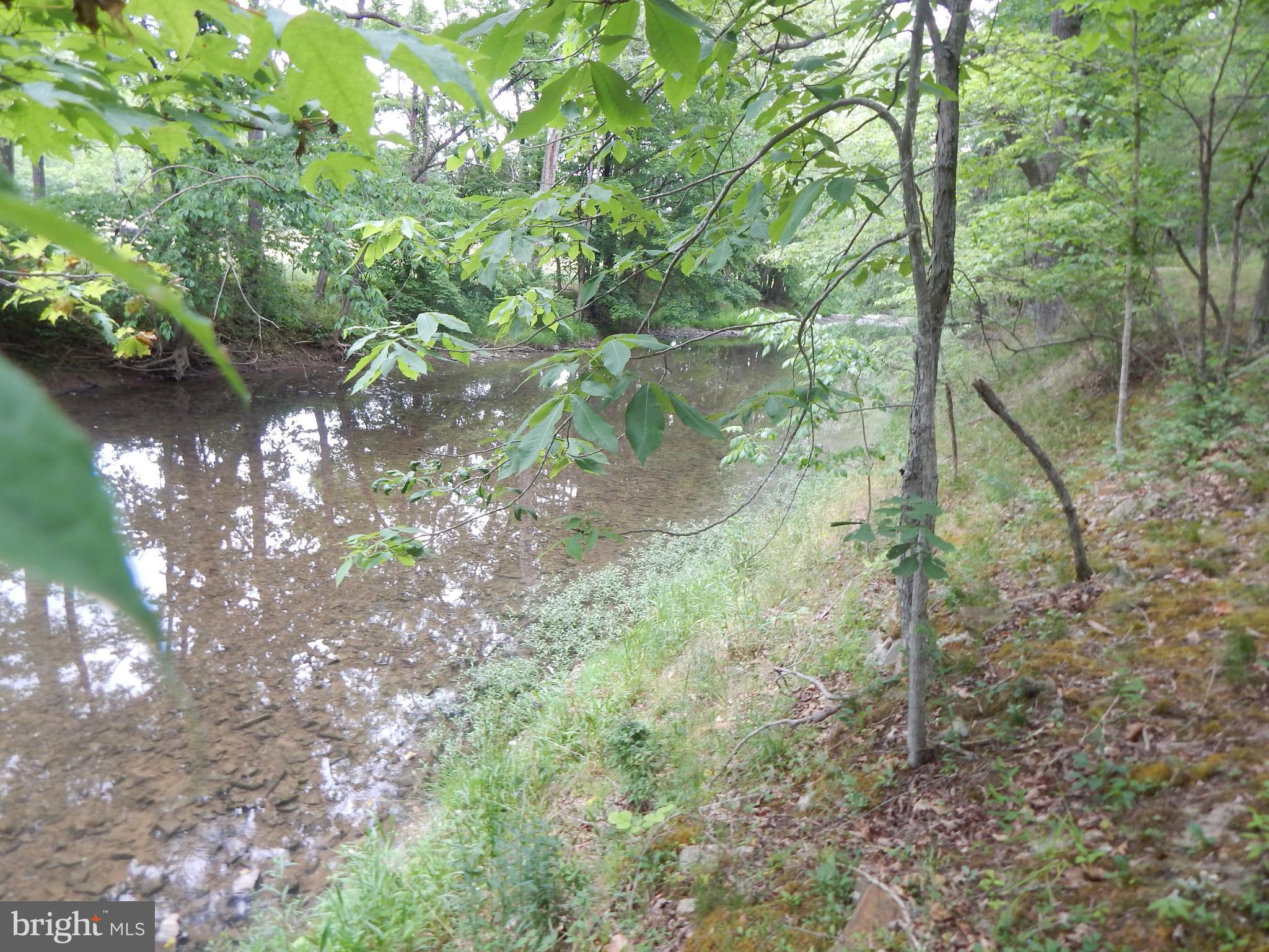 Riverwood TRAIL