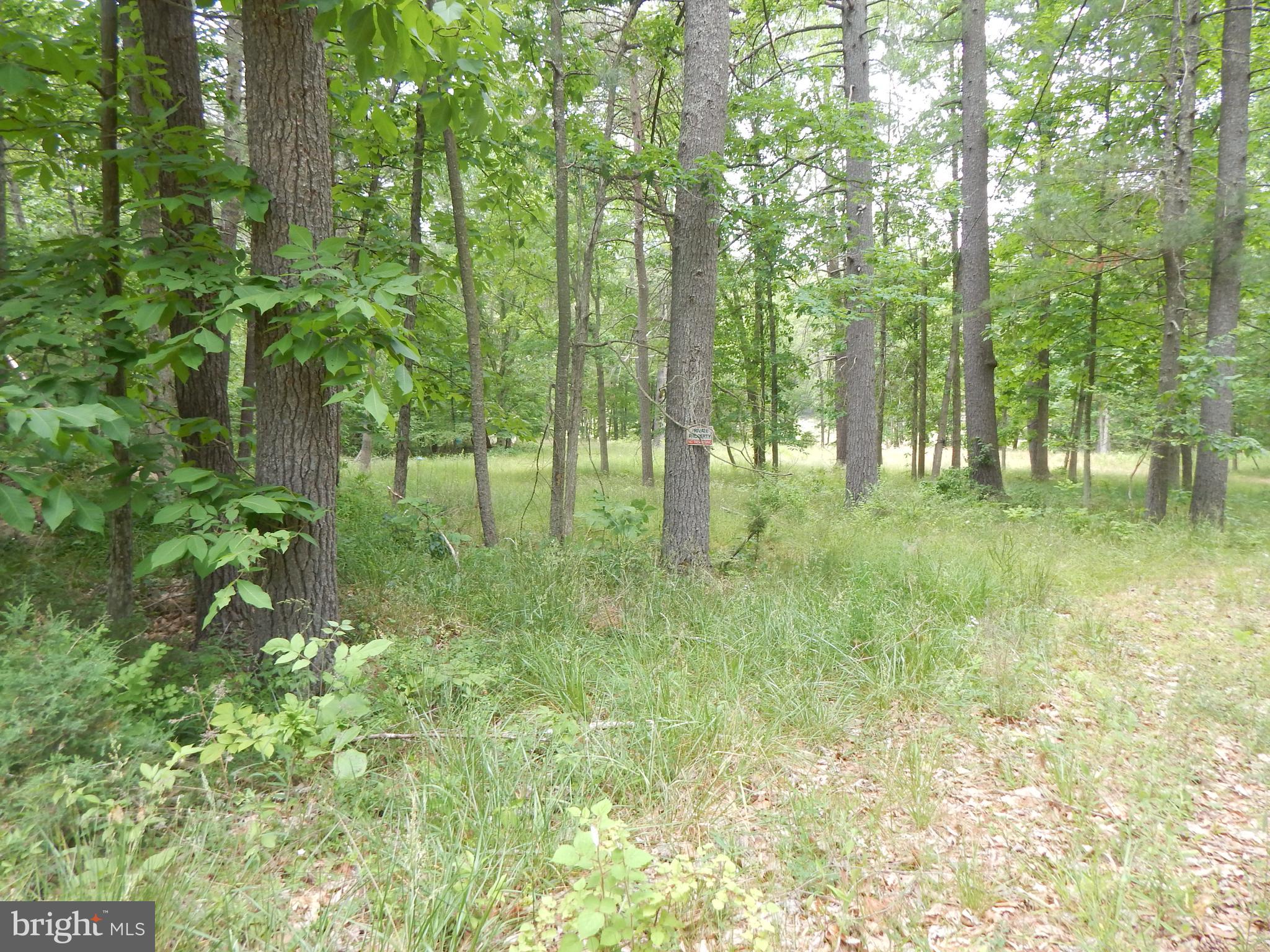 Riverwood TRAIL