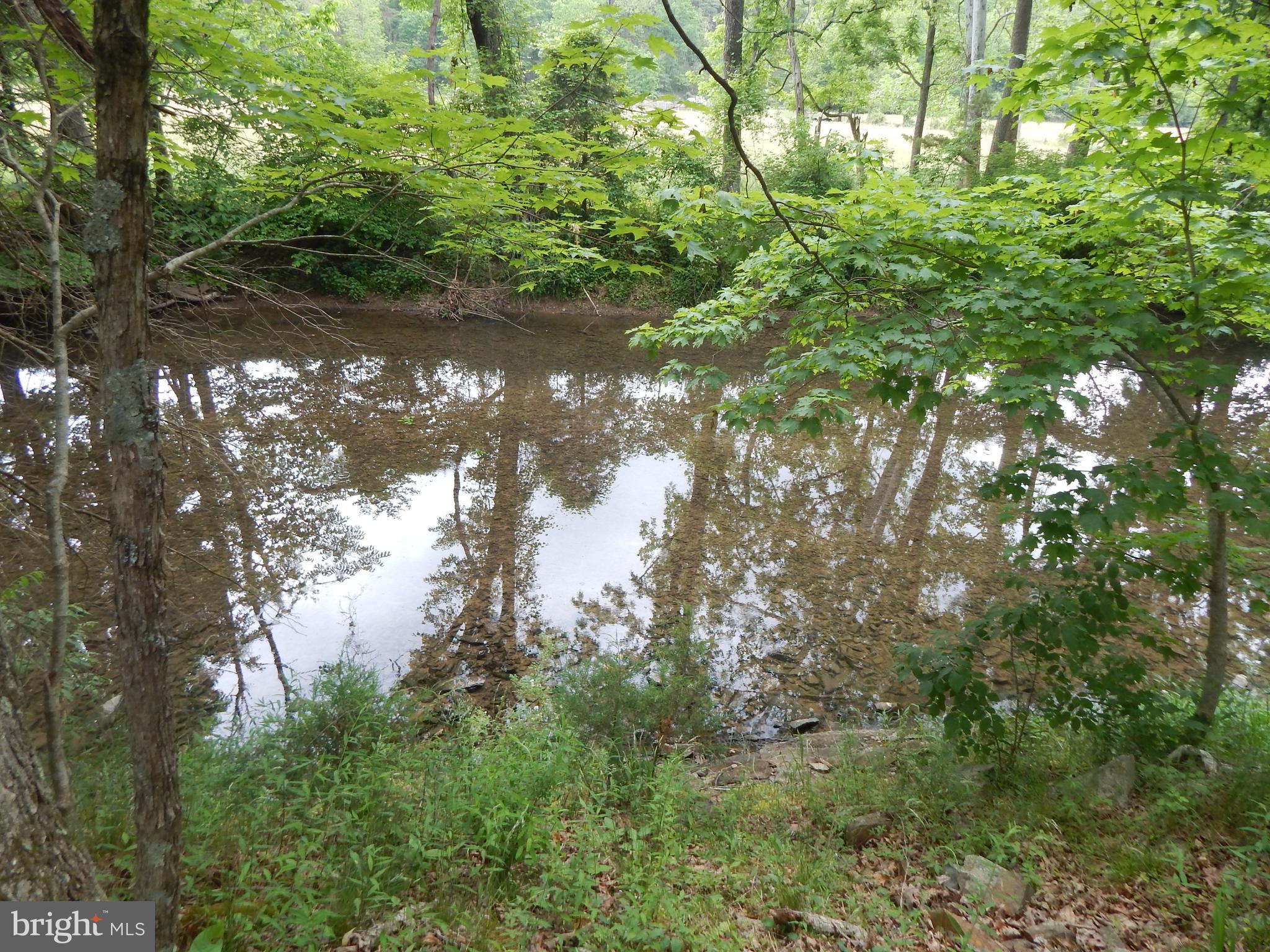 Riverwood TRAIL