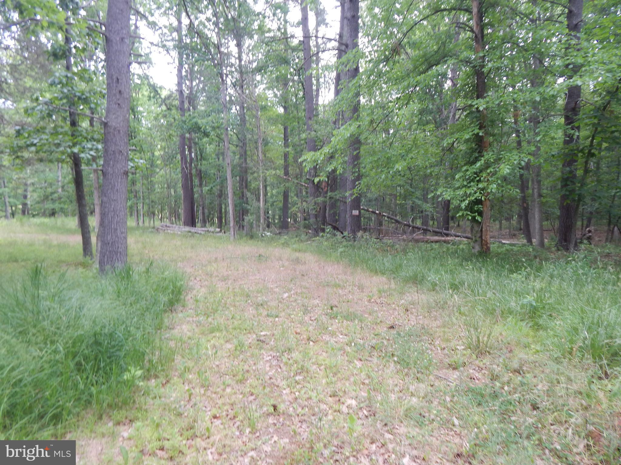 Riverwood TRAIL
