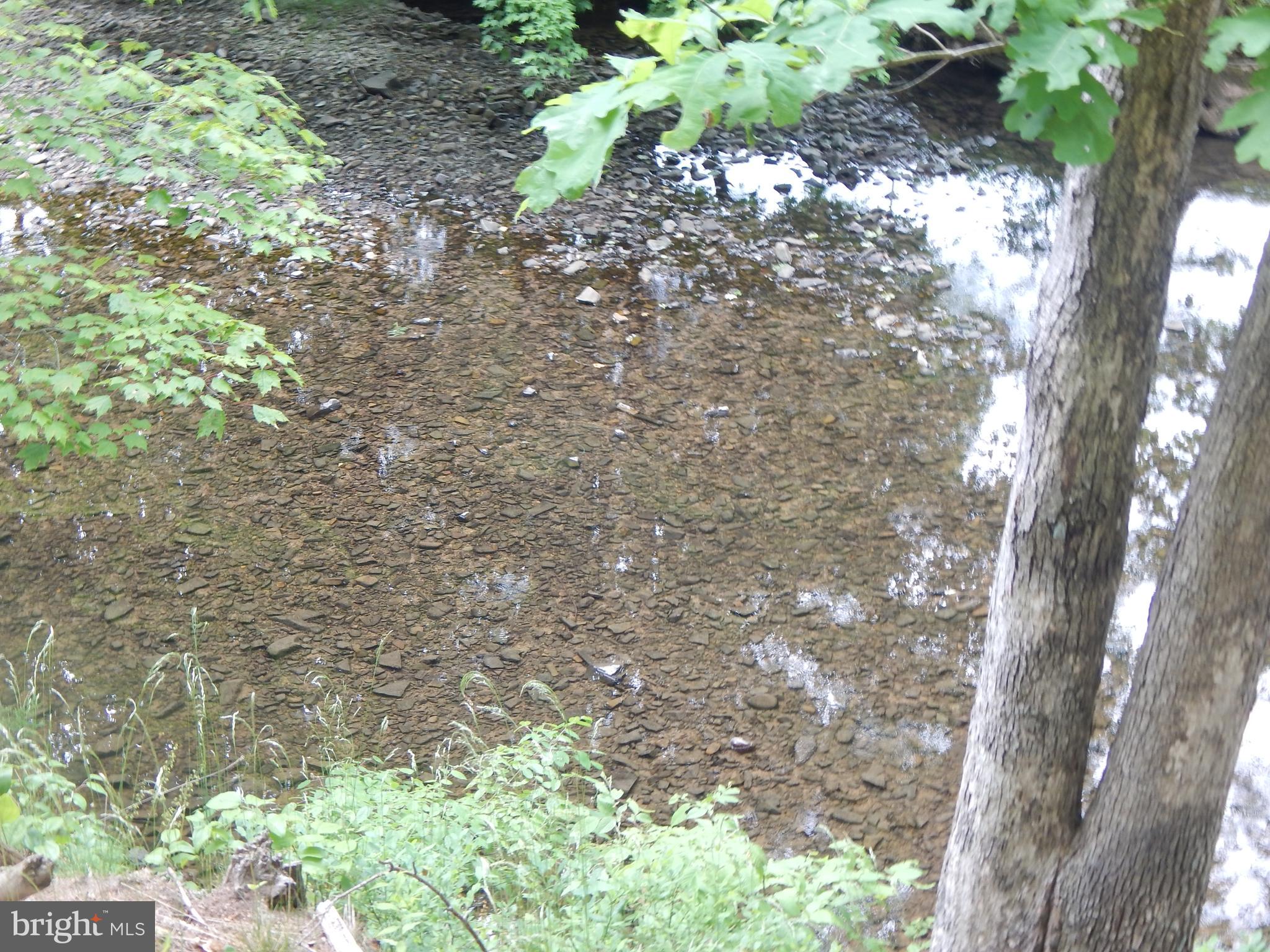 Riverwood TRAIL