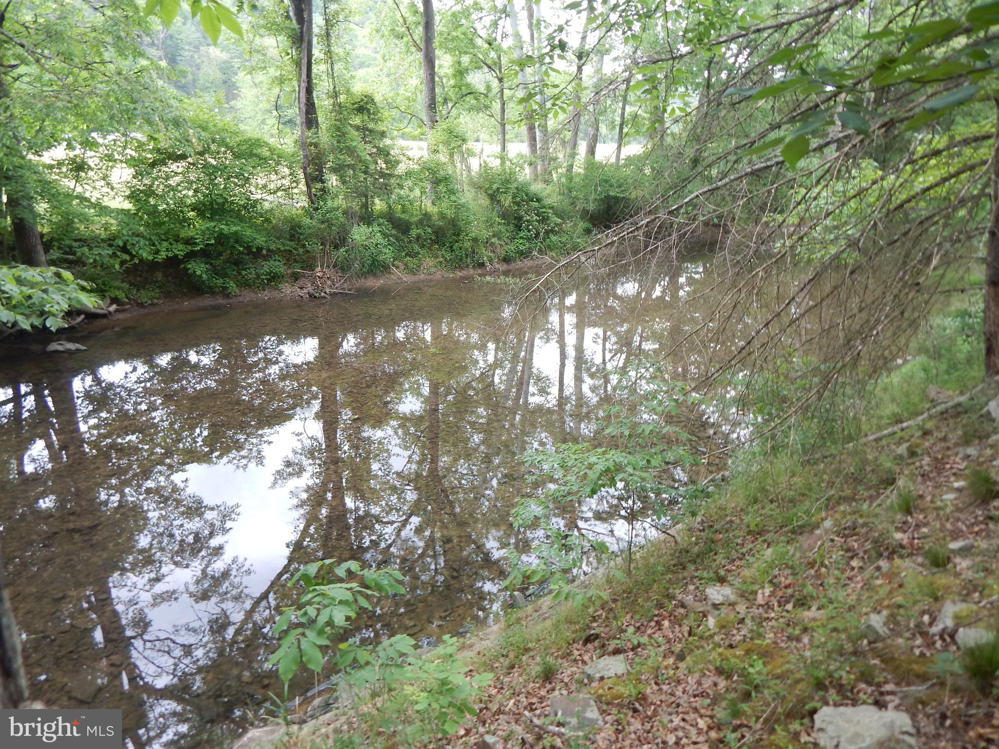 Riverwood TRAIL