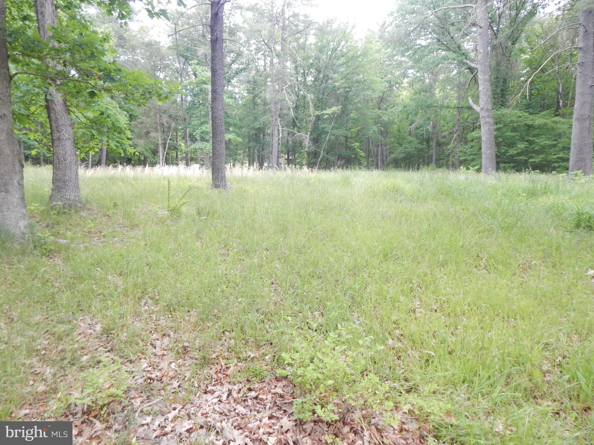 Riverwood TRAIL