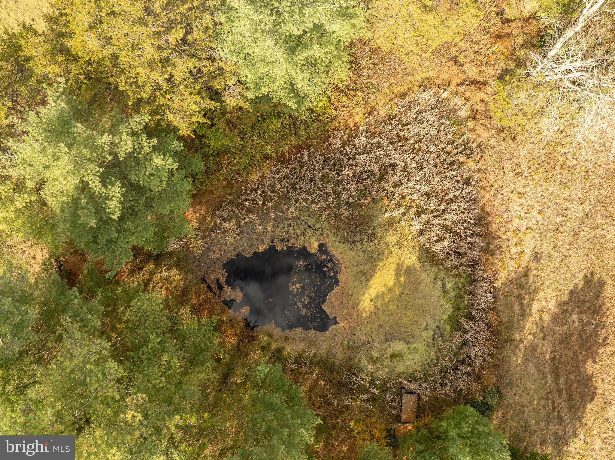 4485 SMOKEY HOLLOW RD