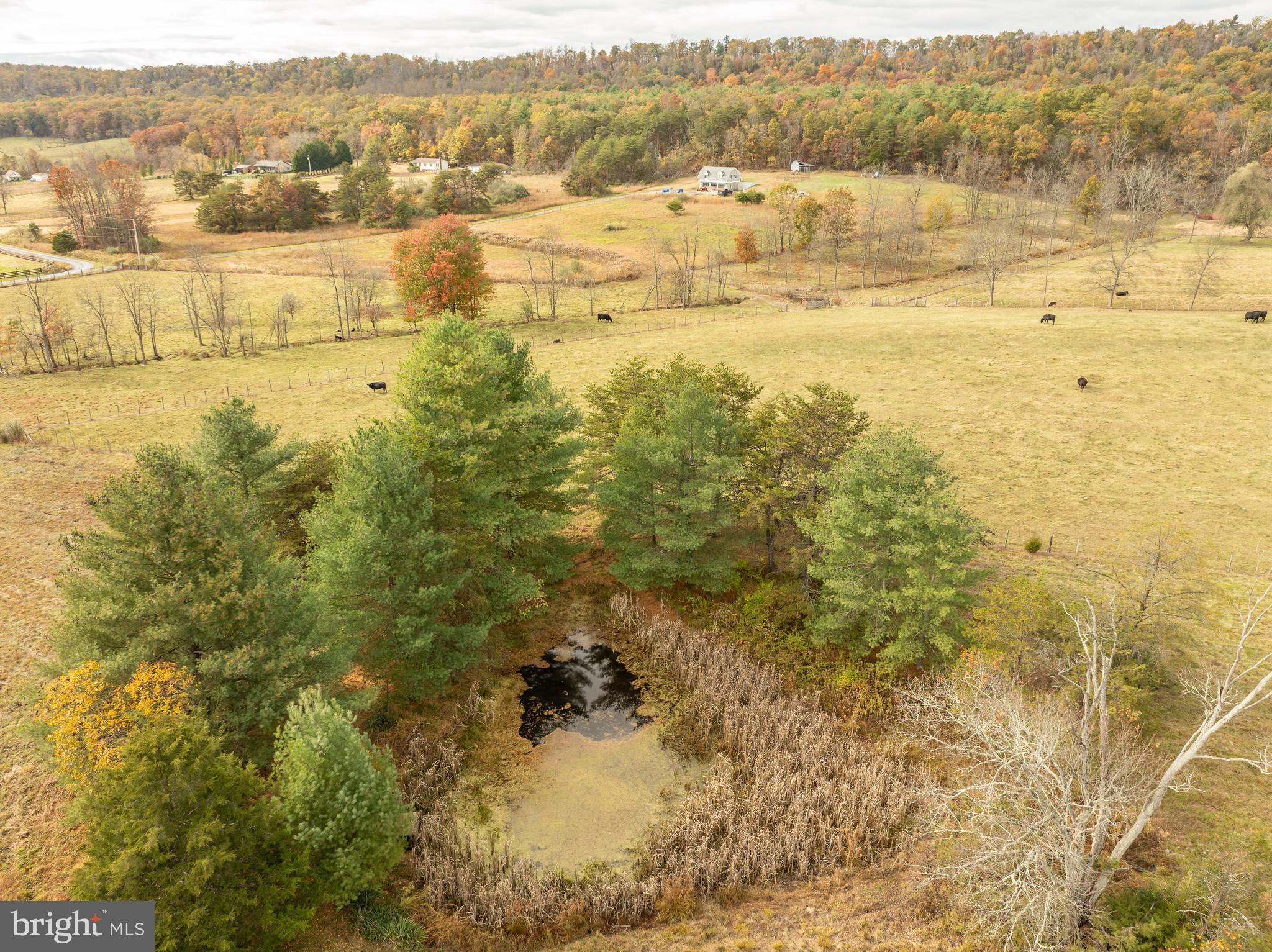 4485 SMOKEY HOLLOW RD