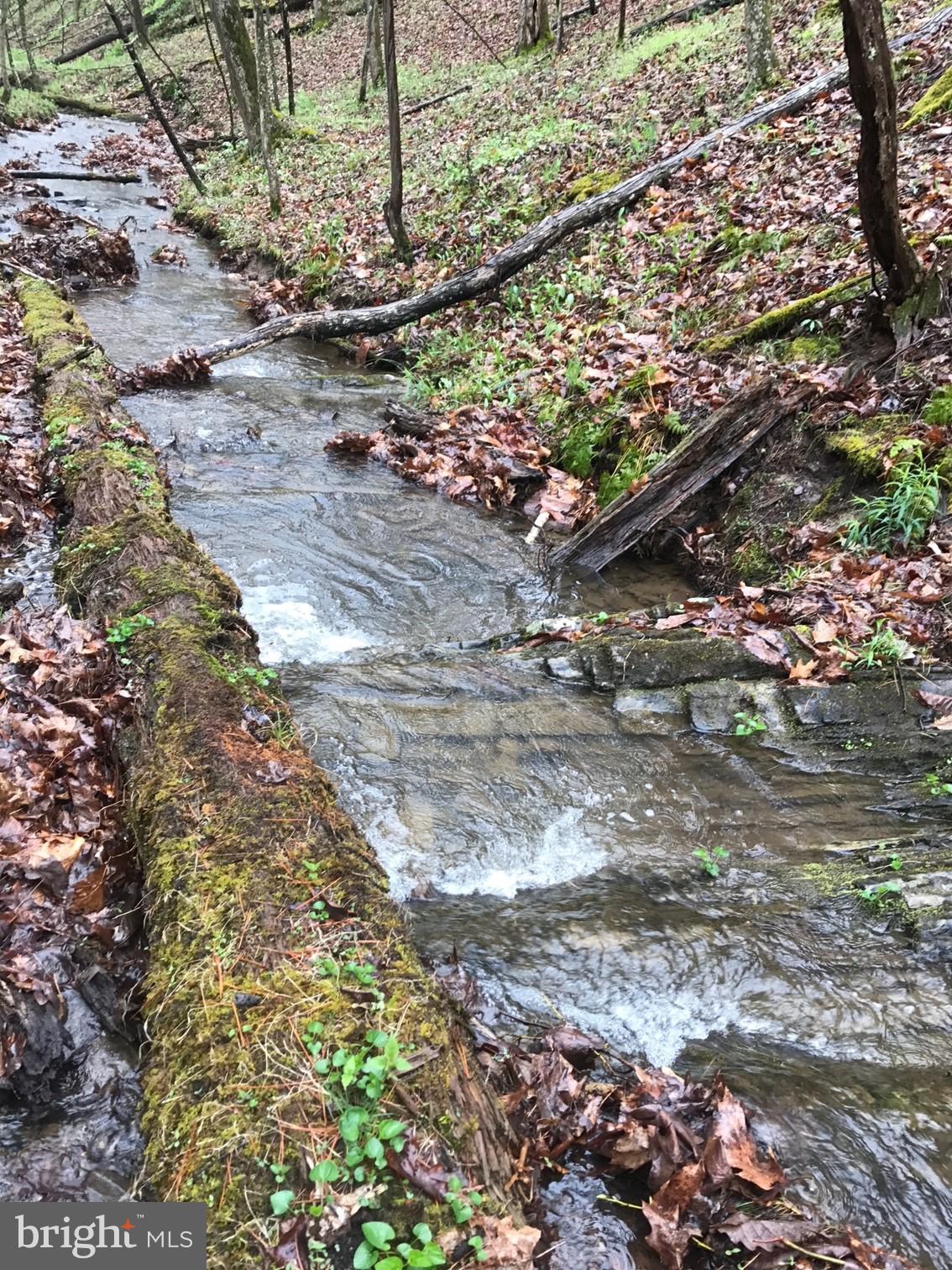 RT 3/3-LIT CACAPON LEVELS