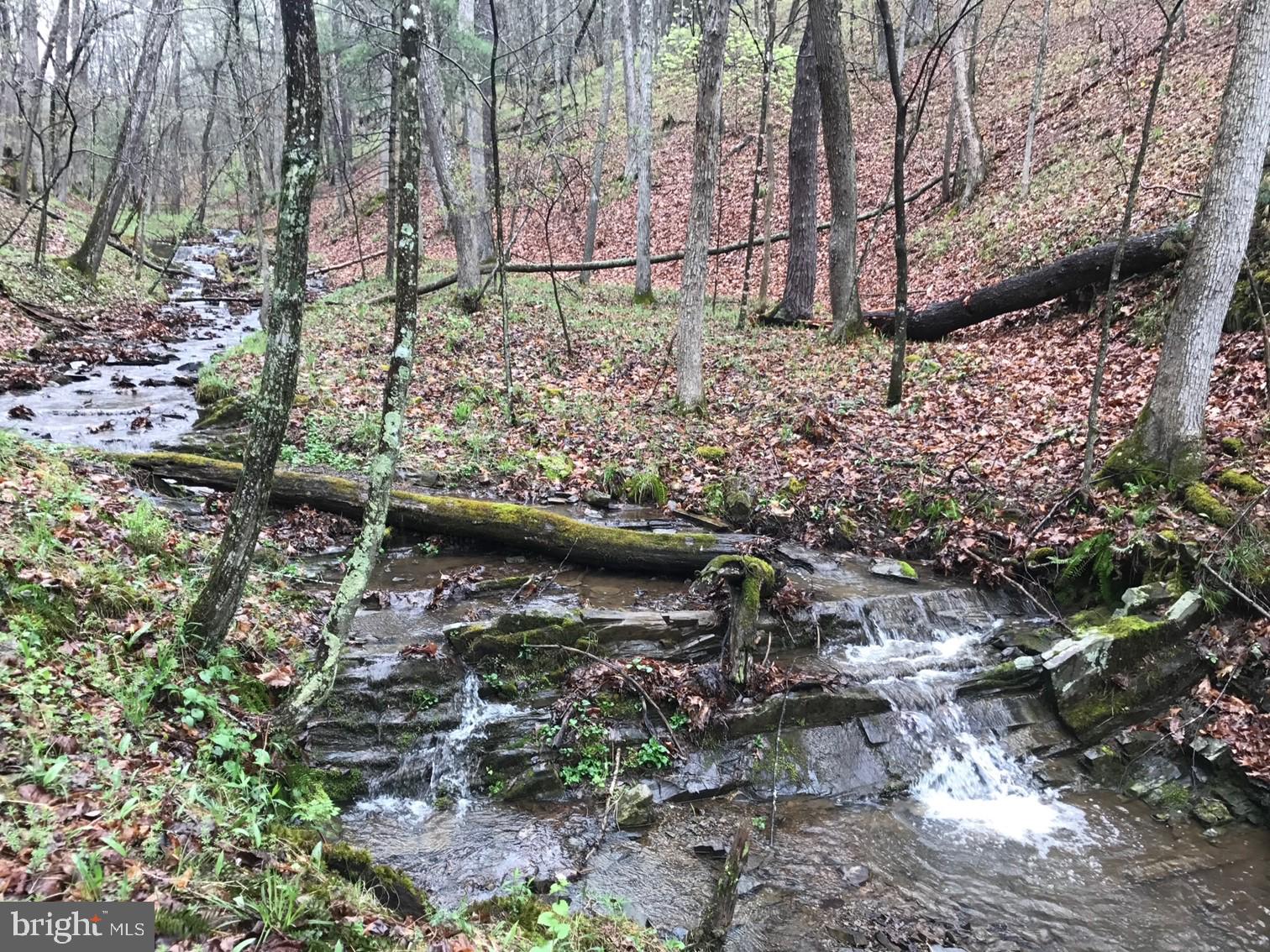 RT 3/3-LIT CACAPON LEVELS