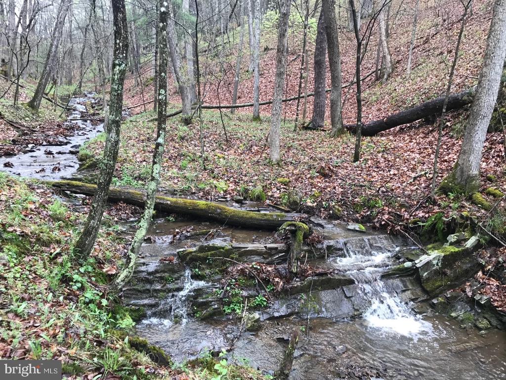 RT 3/3-LIT CACAPON LEVELS