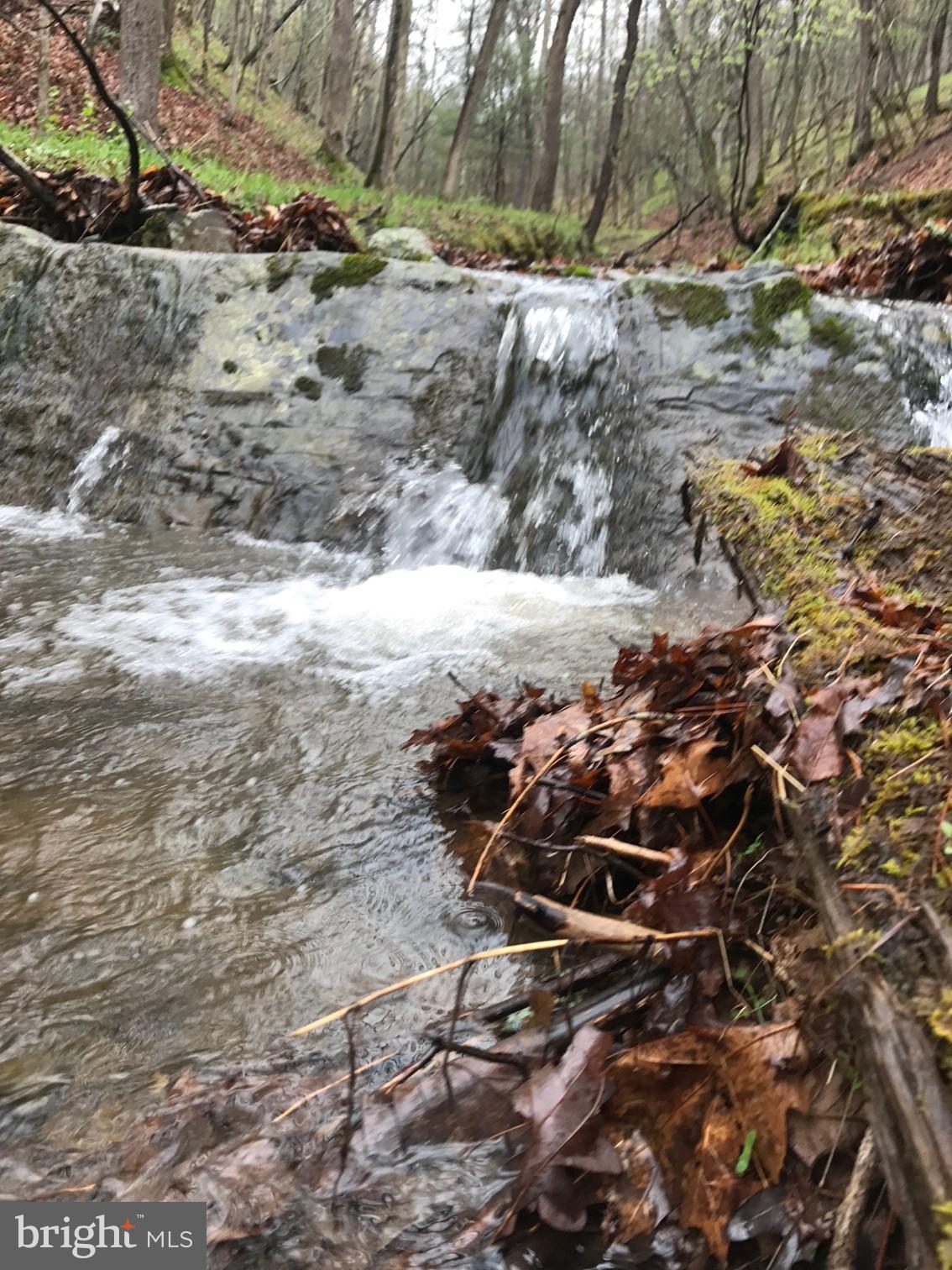 RT 3/3-LIT CACAPON LEVELS