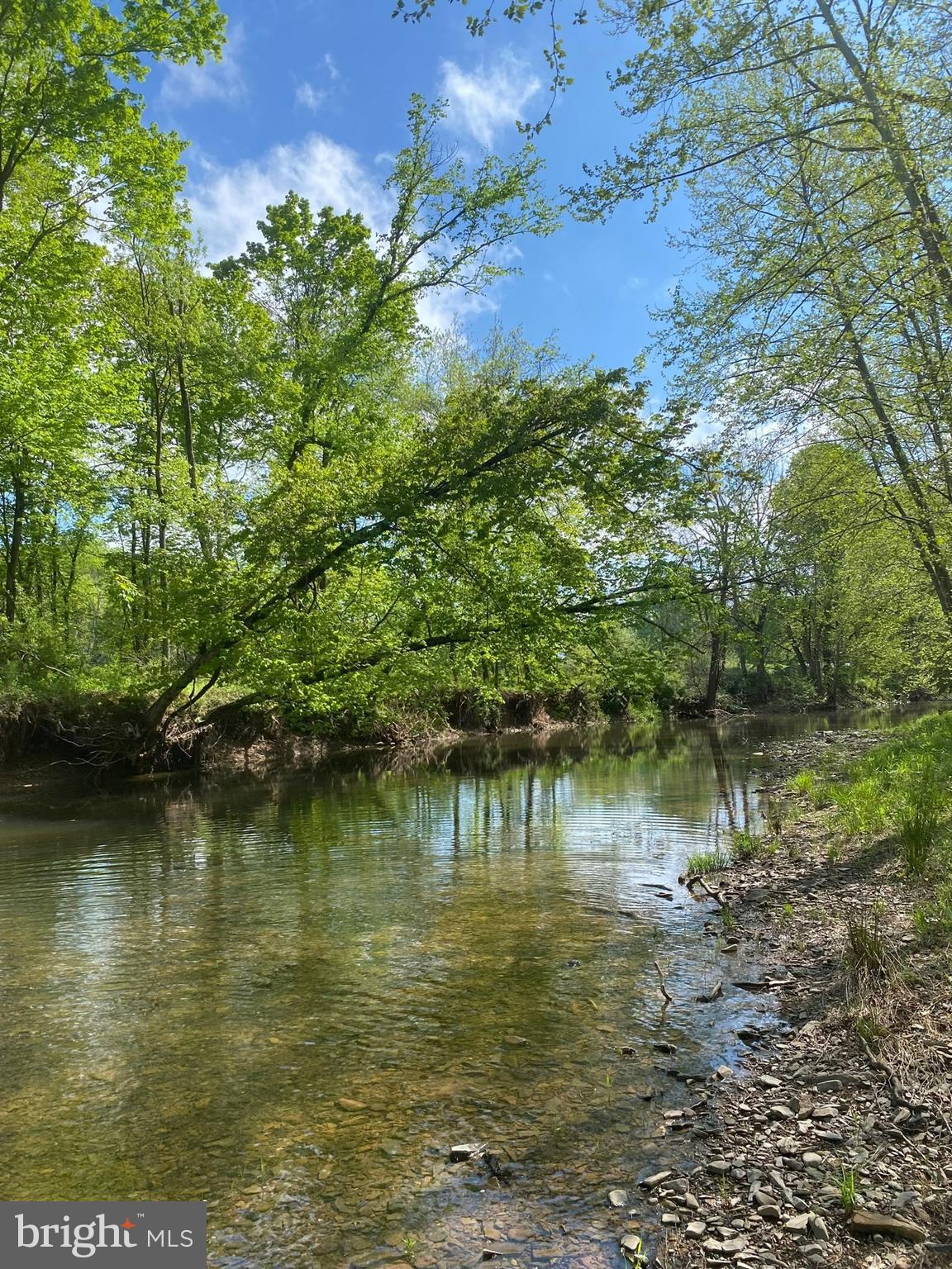 RT 3/3-LIT CACAPON LEVELS