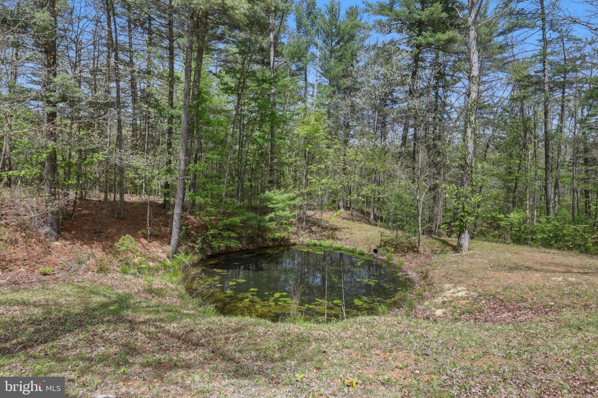 839 LAKE FERNDALE