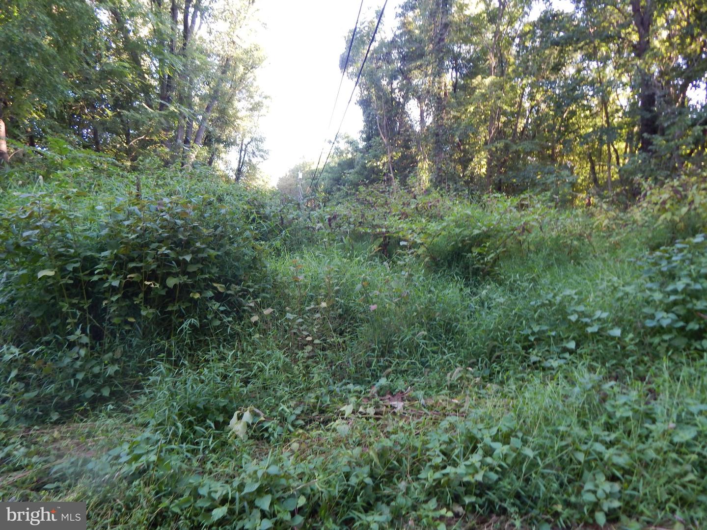 51 Mockingbird LANE