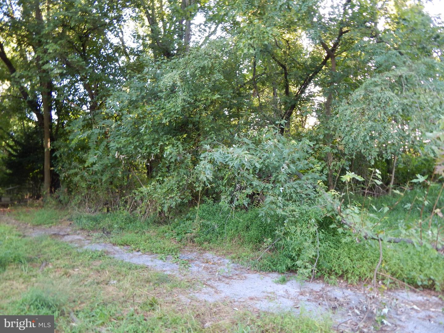 51 Mockingbird LANE