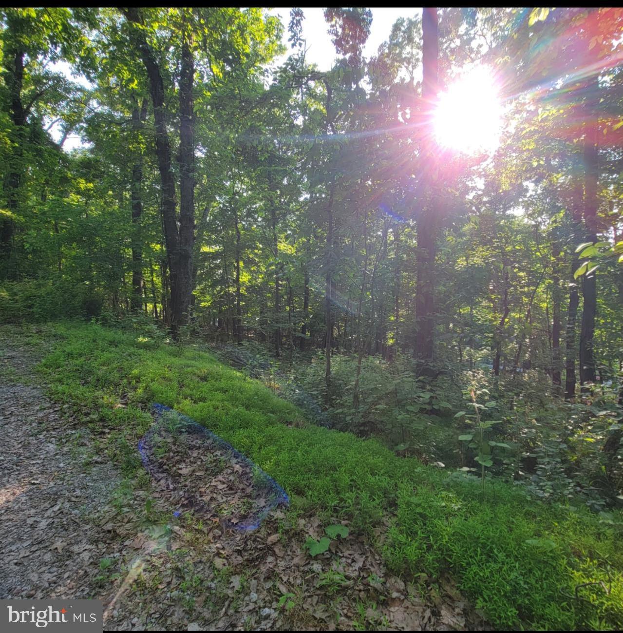 Mill Stone Run