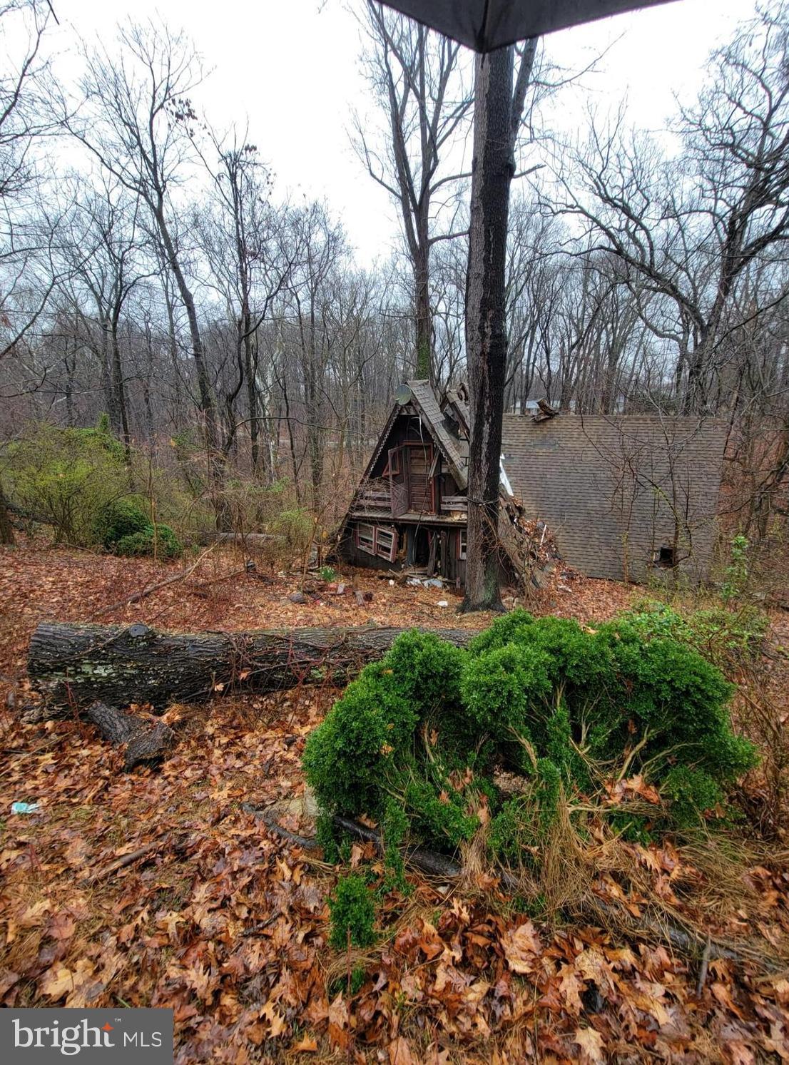 339 White Dogwood Rd