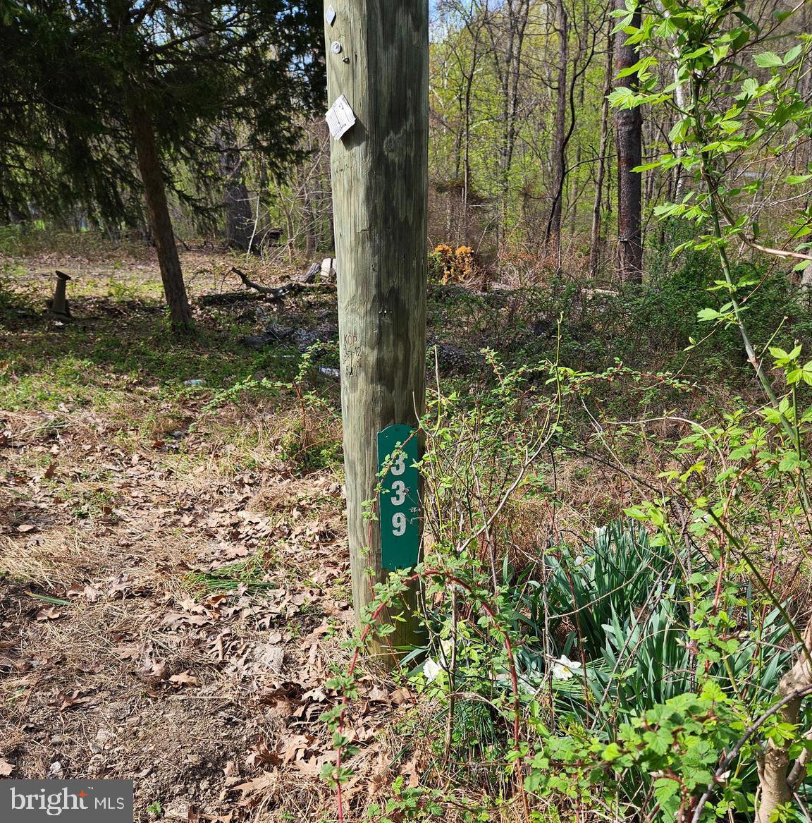 339 White Dogwood Rd
