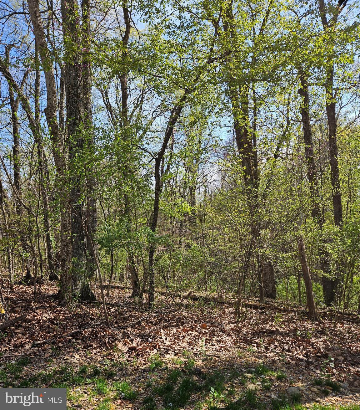 339 White Dogwood Rd