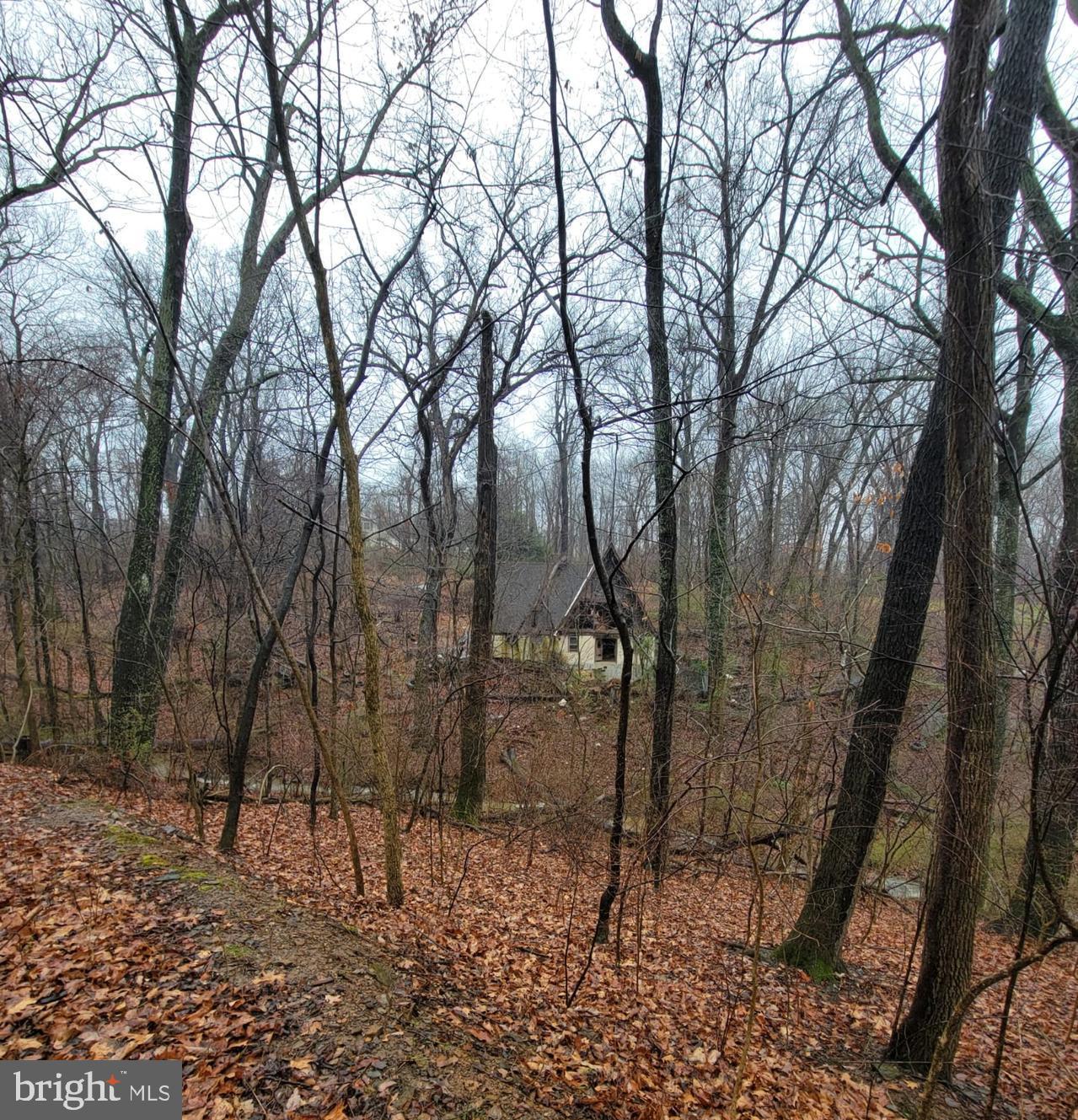 339 White Dogwood Rd