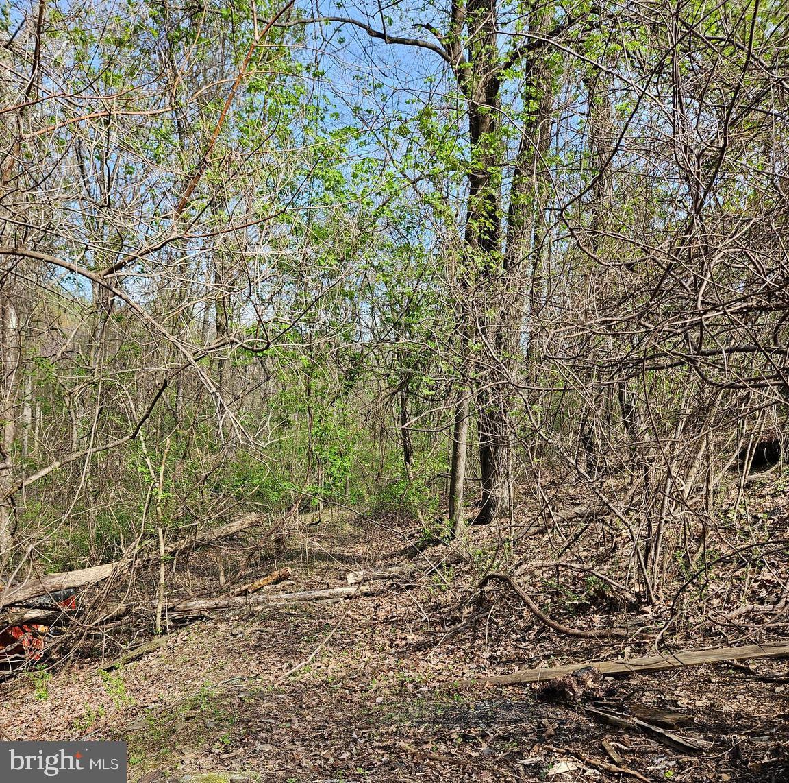 339 White Dogwood Rd