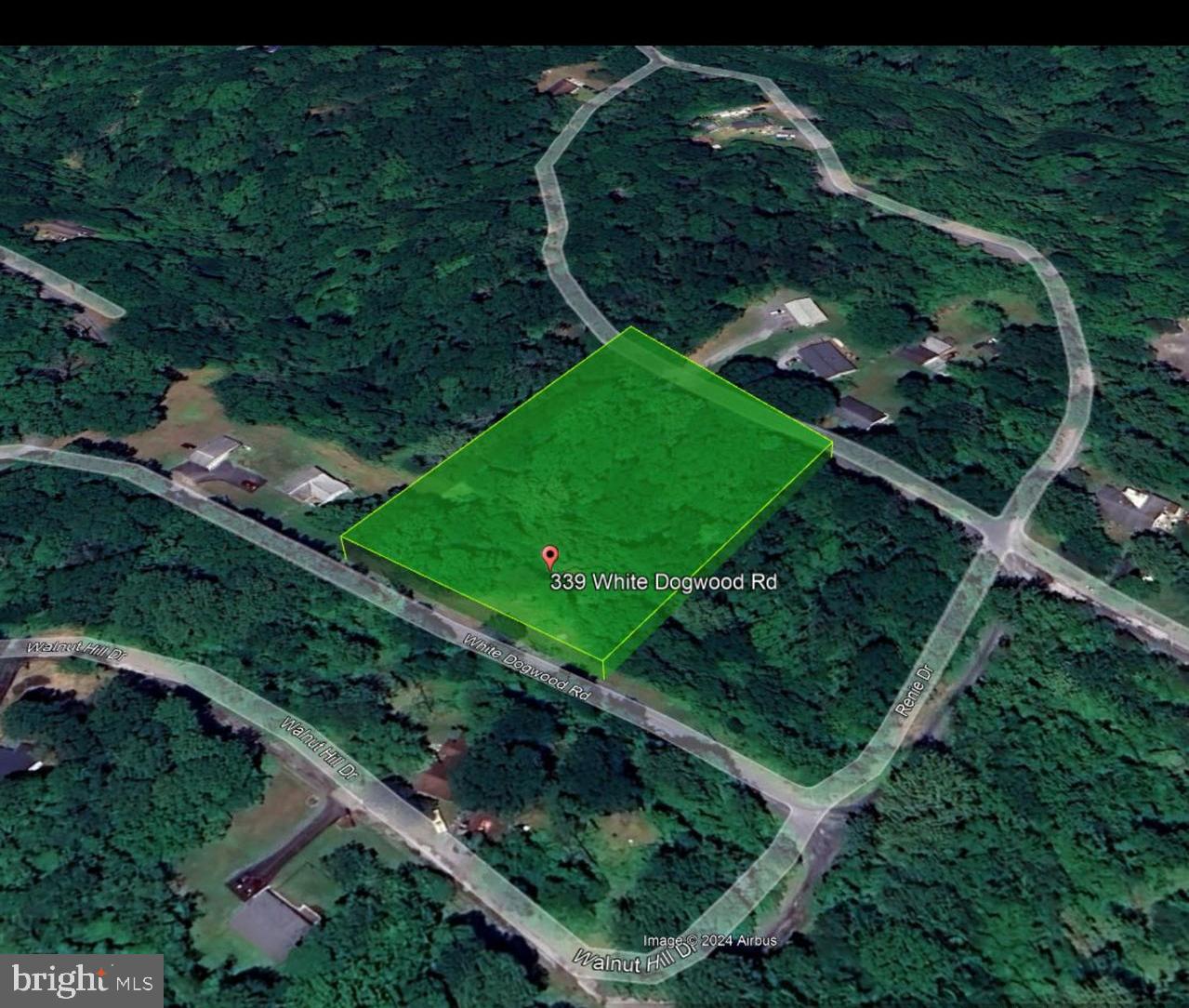 339 White Dogwood Rd