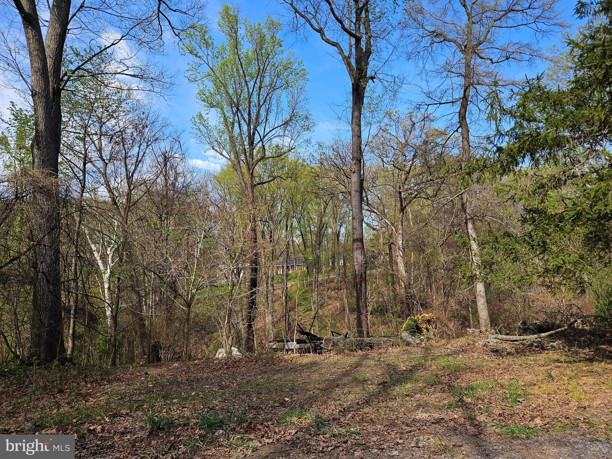 339 White Dogwood Rd