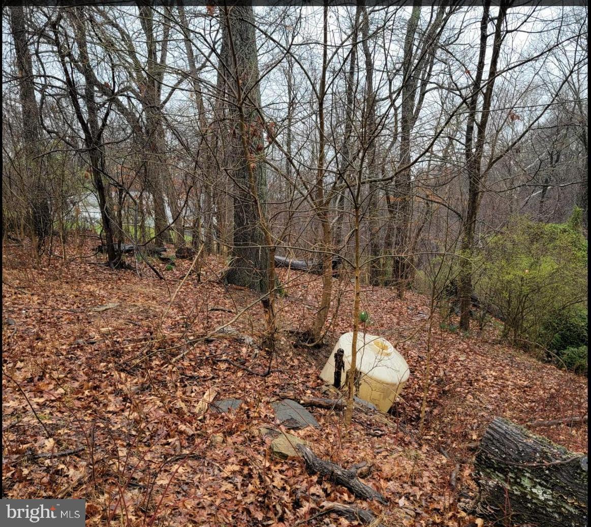 339 White Dogwood Rd