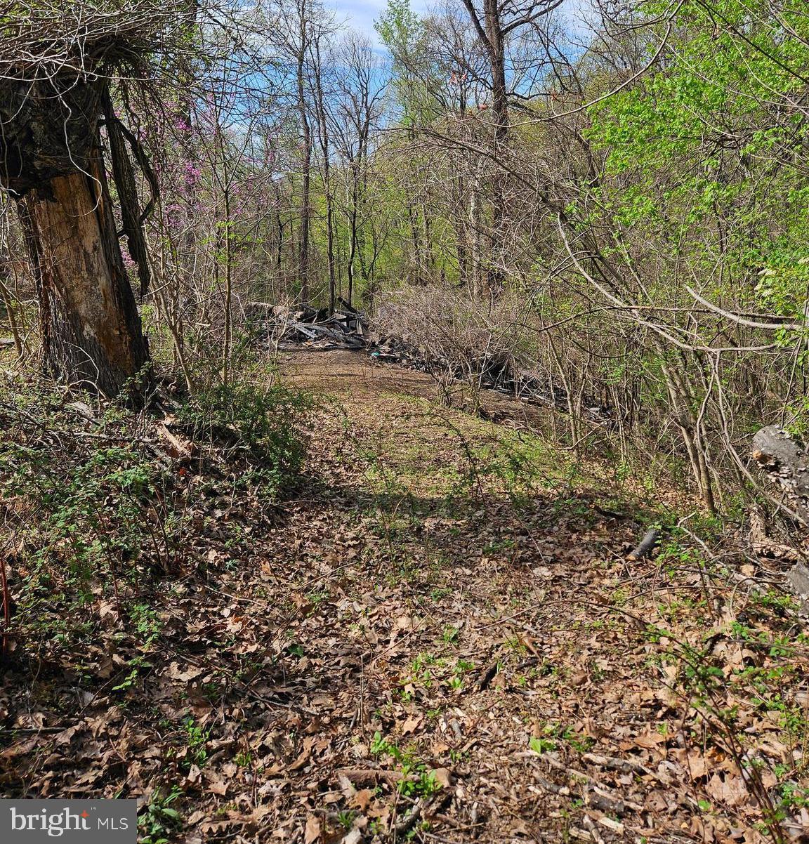 339 White Dogwood Rd