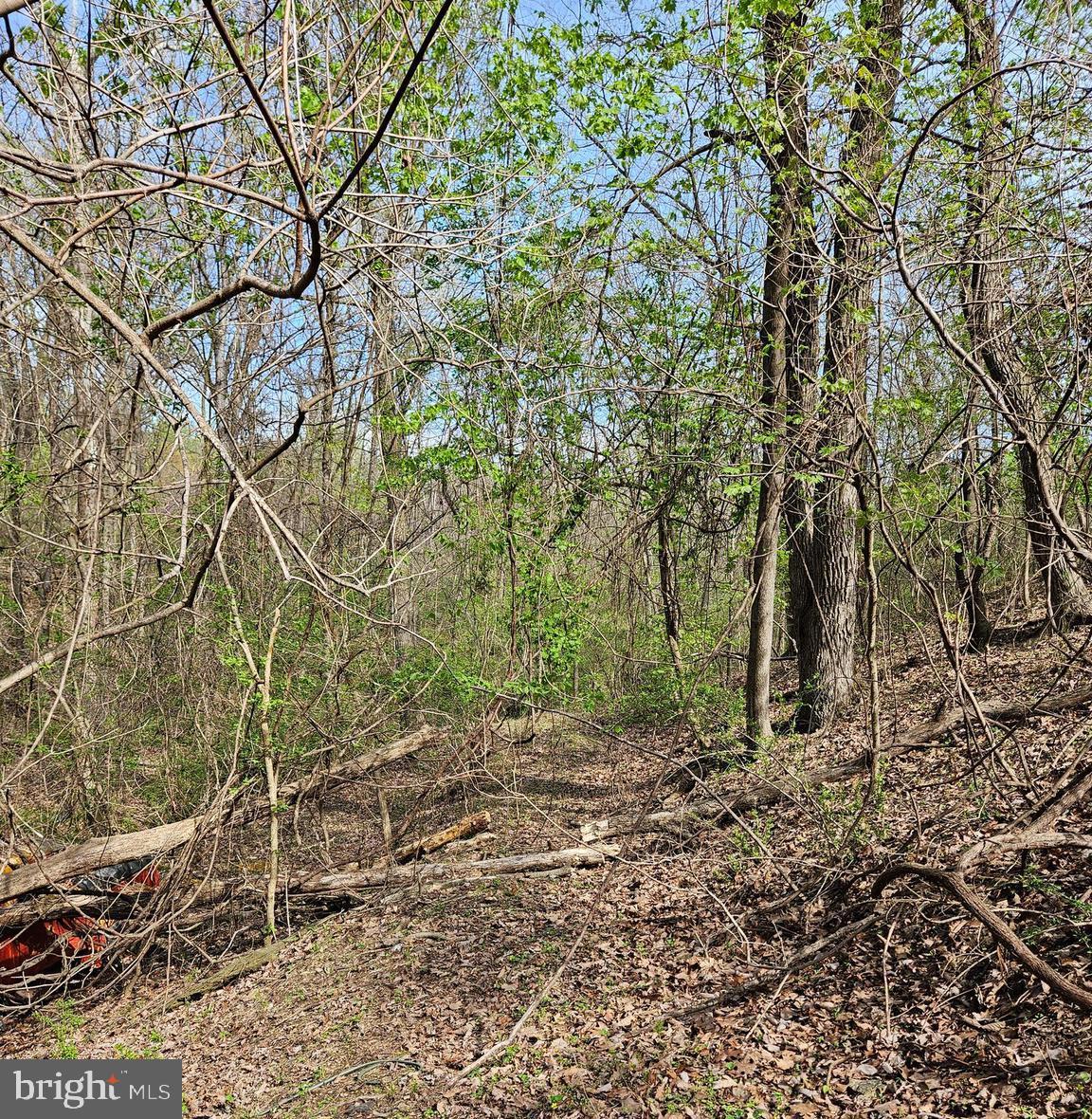339 White Dogwood Rd