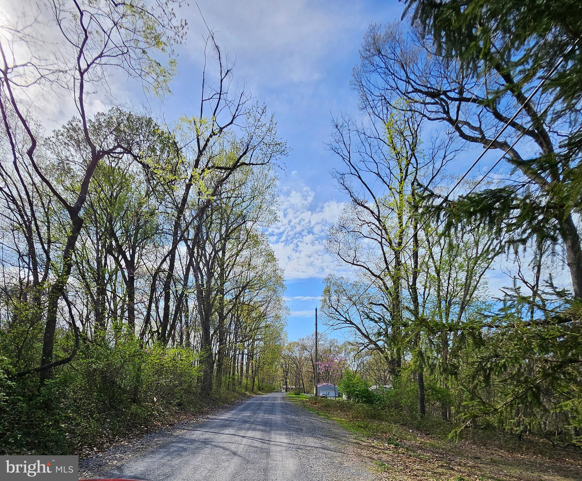 339 White Dogwood Rd
