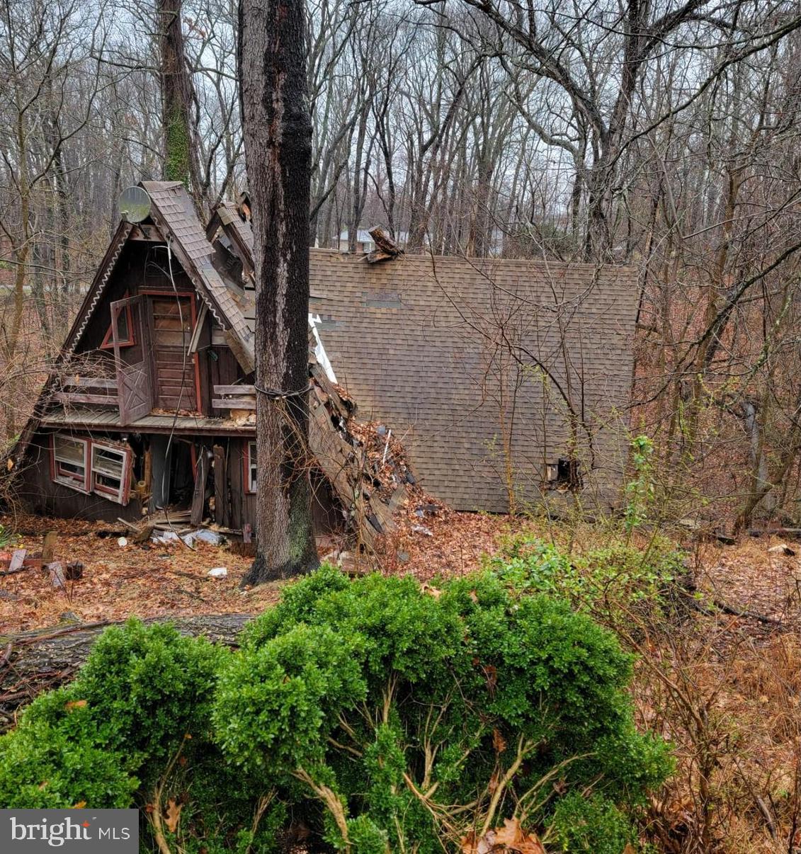 339 White Dogwood Rd