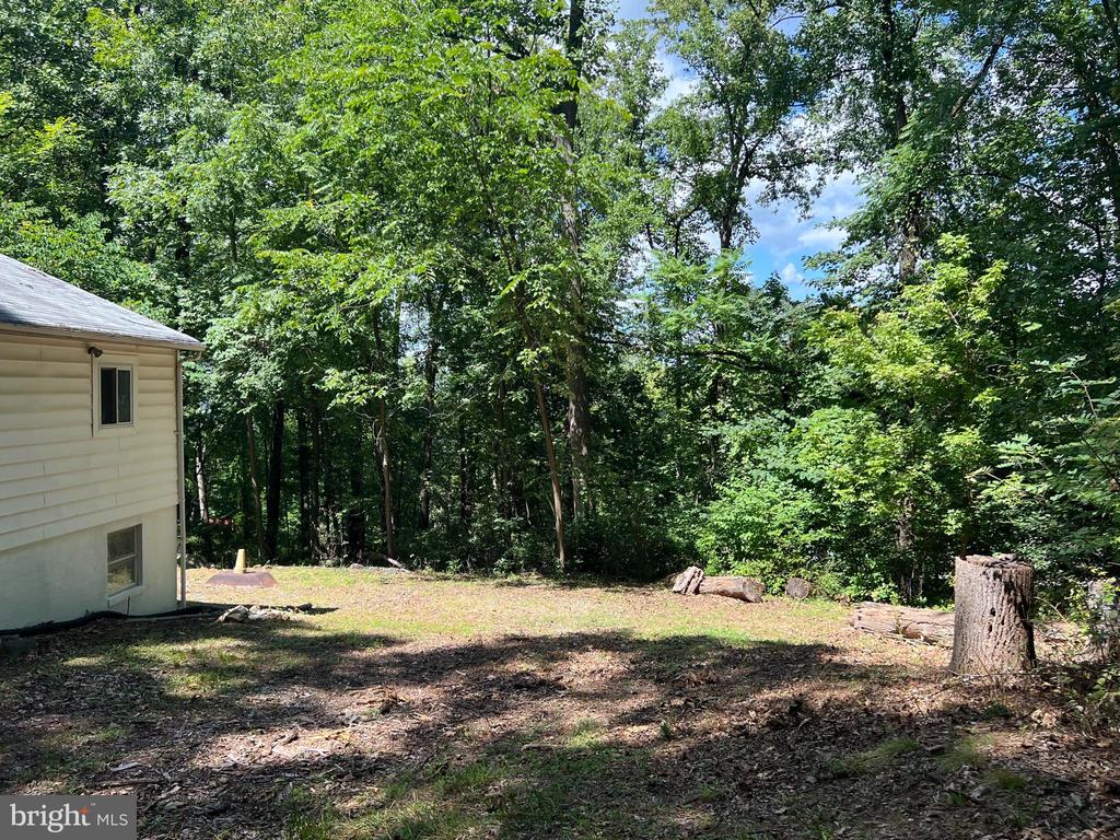 71 Wild Cherry Tree Ln
