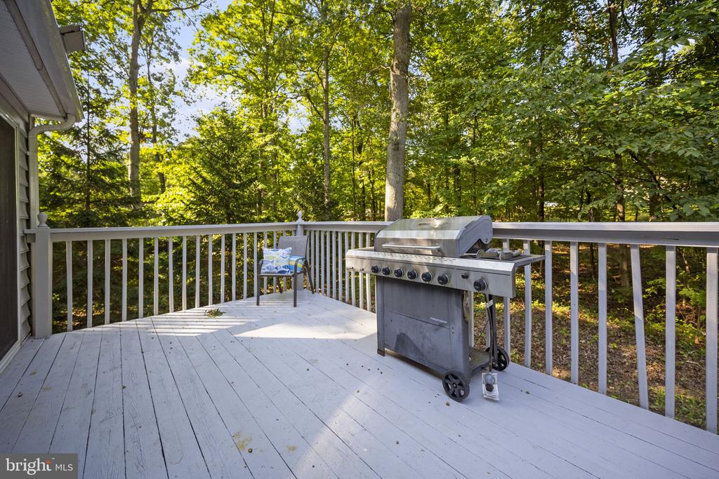 1009 Wild Rose Ln