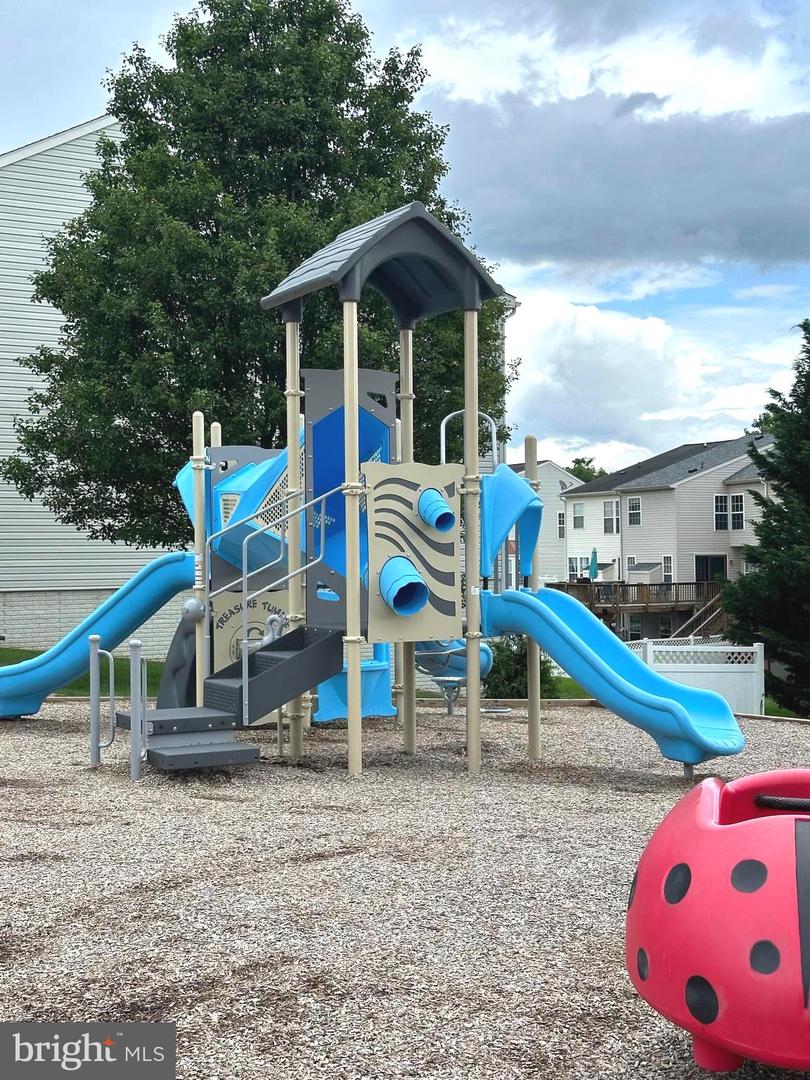 26 TROUT LILY DR.