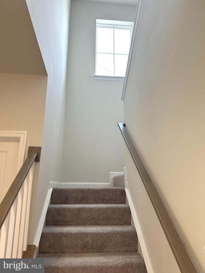 26 TROUT LILY DR.