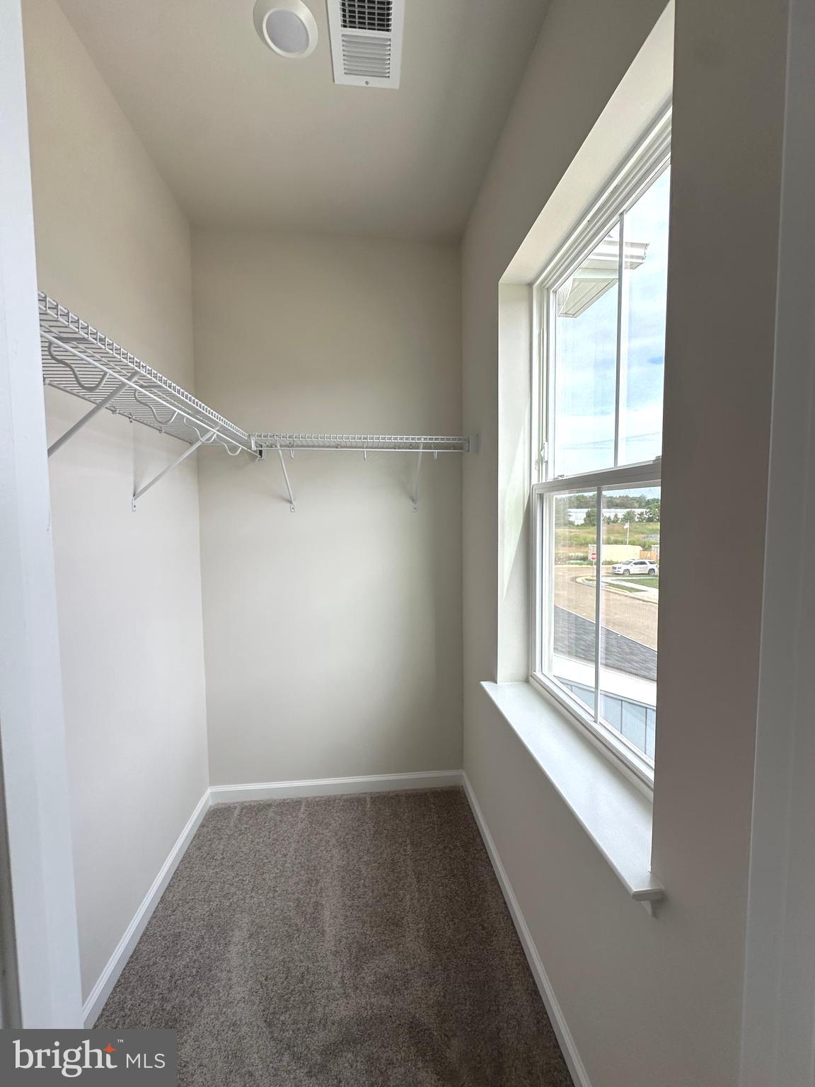 26 TROUT LILY DR.
