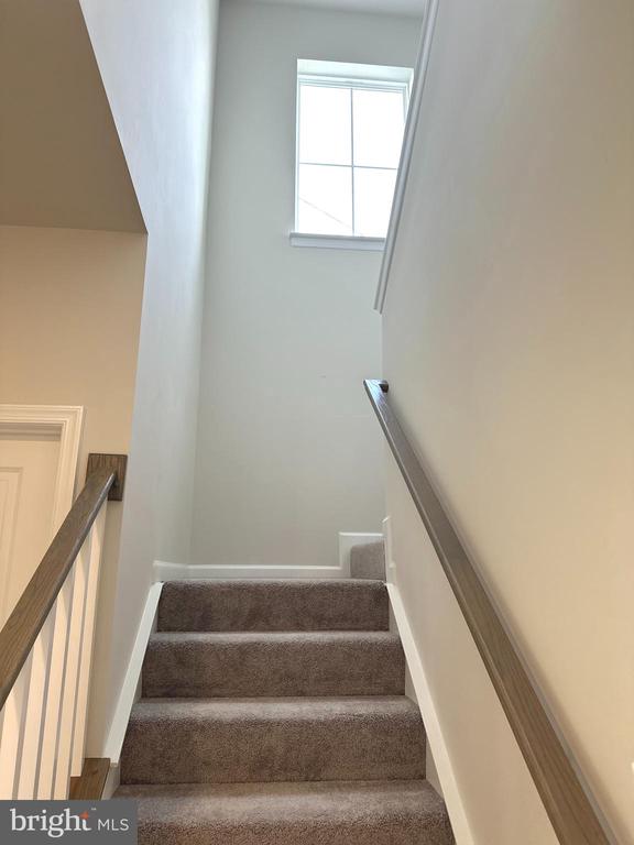 26 TROUT LILY DR.