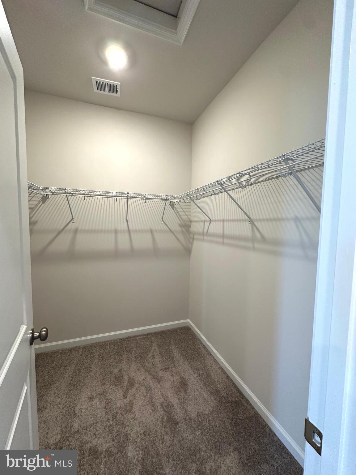 26 TROUT LILY DR.