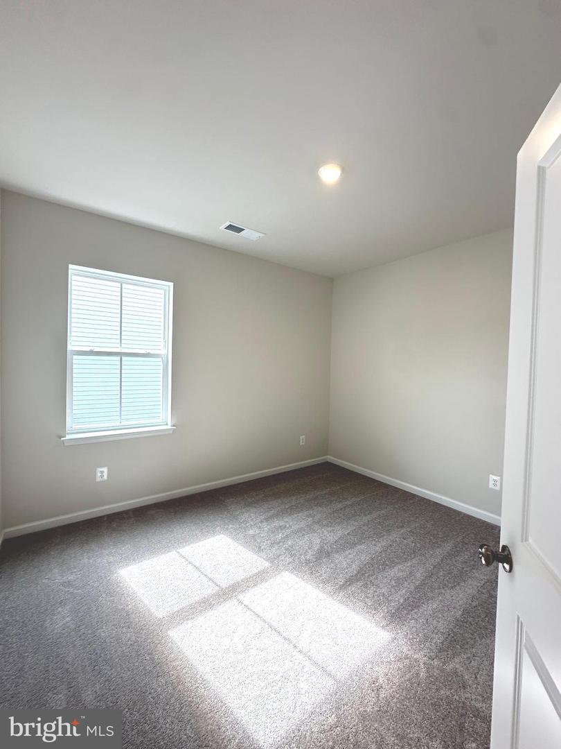 26 TROUT LILY DR.