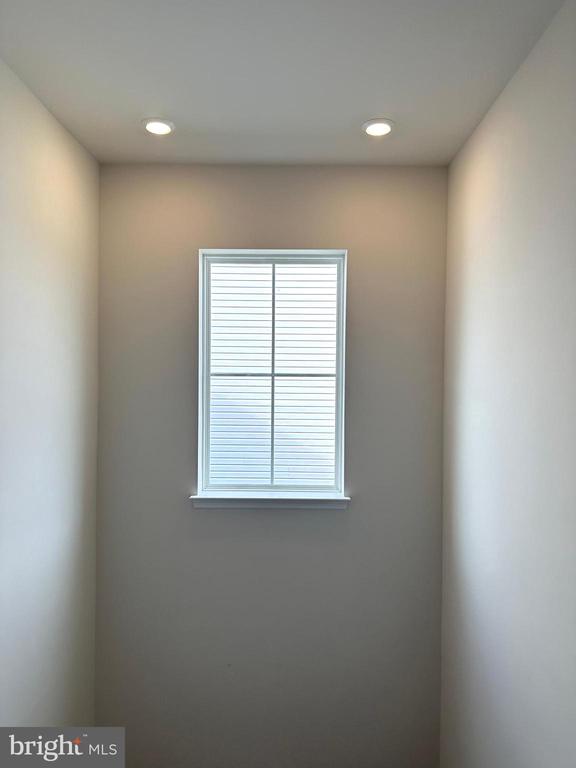 26 TROUT LILY DR.
