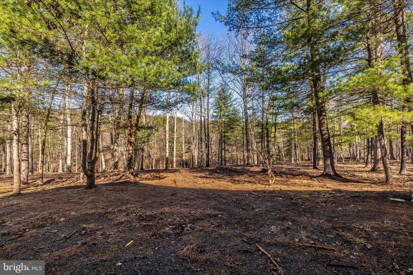 523 Weber LANE