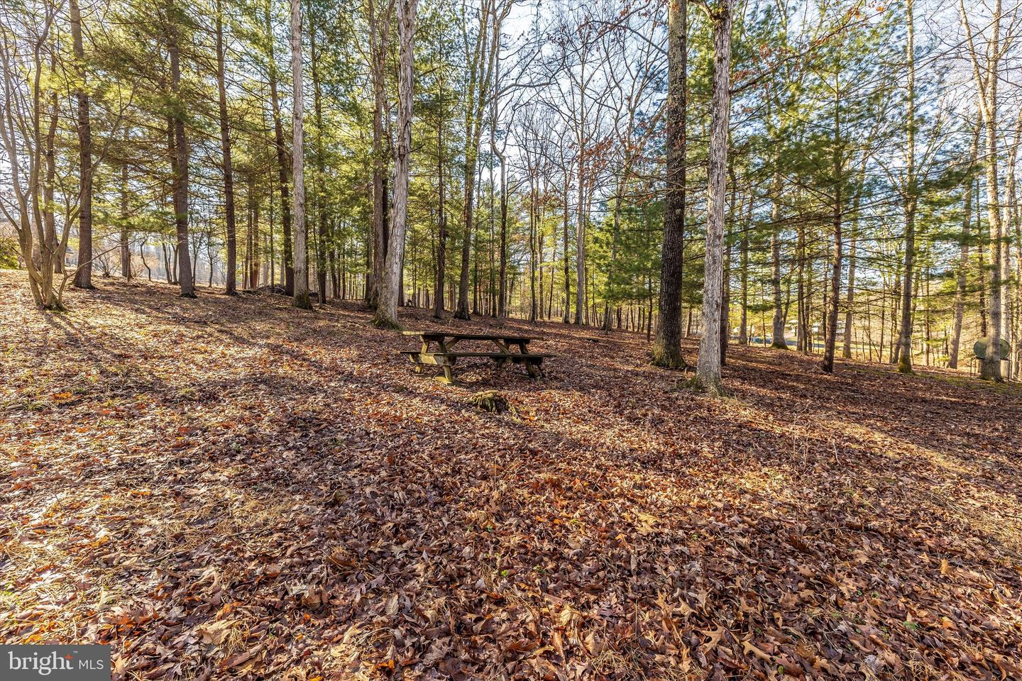 523 Weber LANE