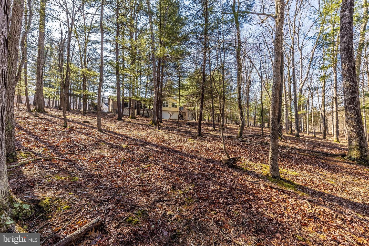 523 Weber LANE