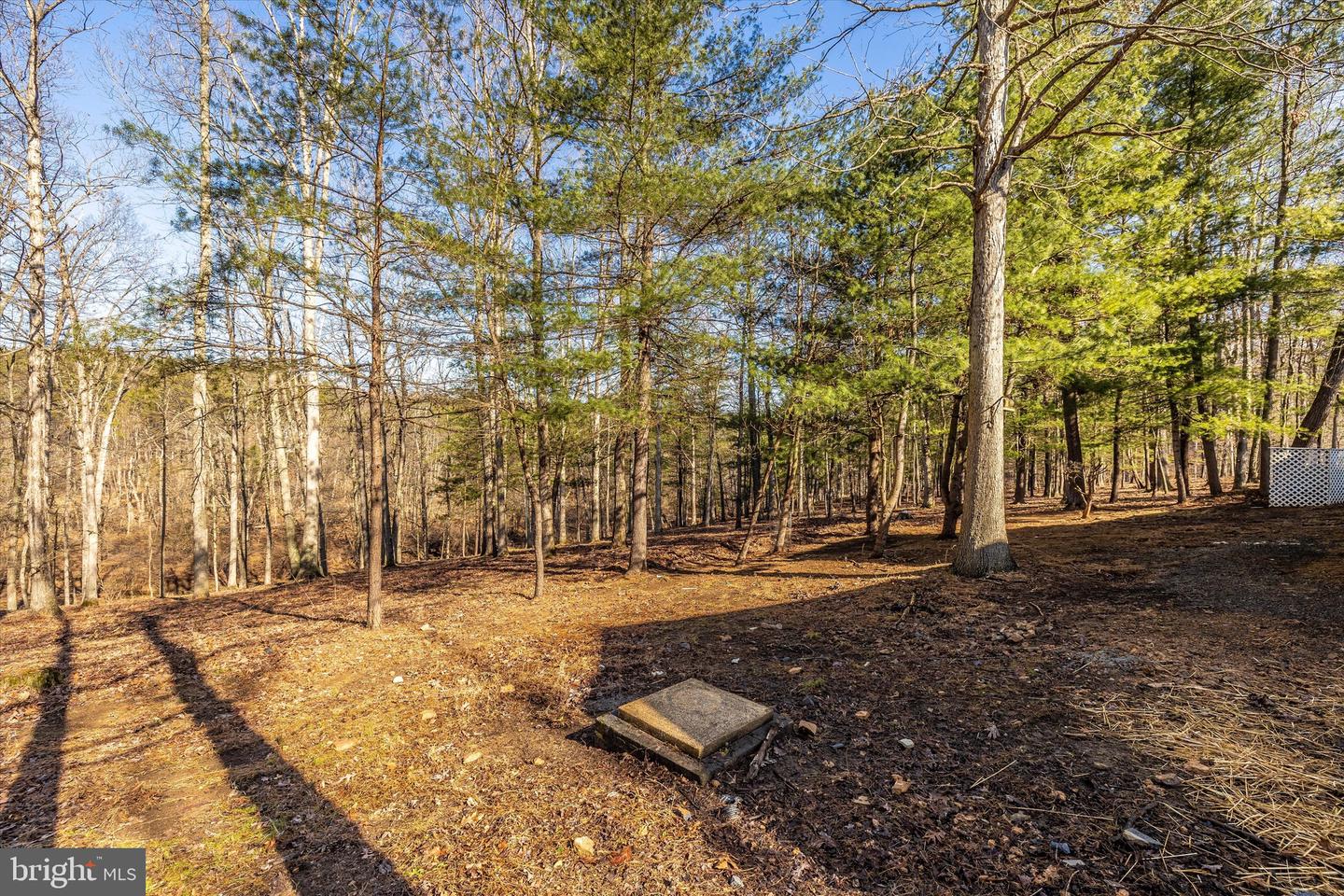 523 Weber LANE