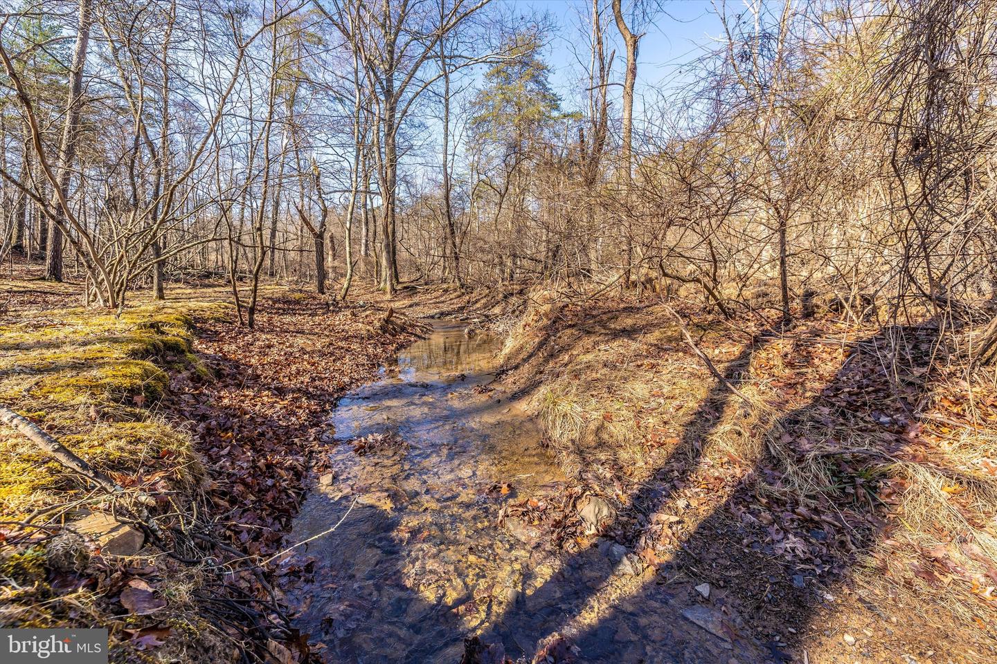 523 Weber LANE