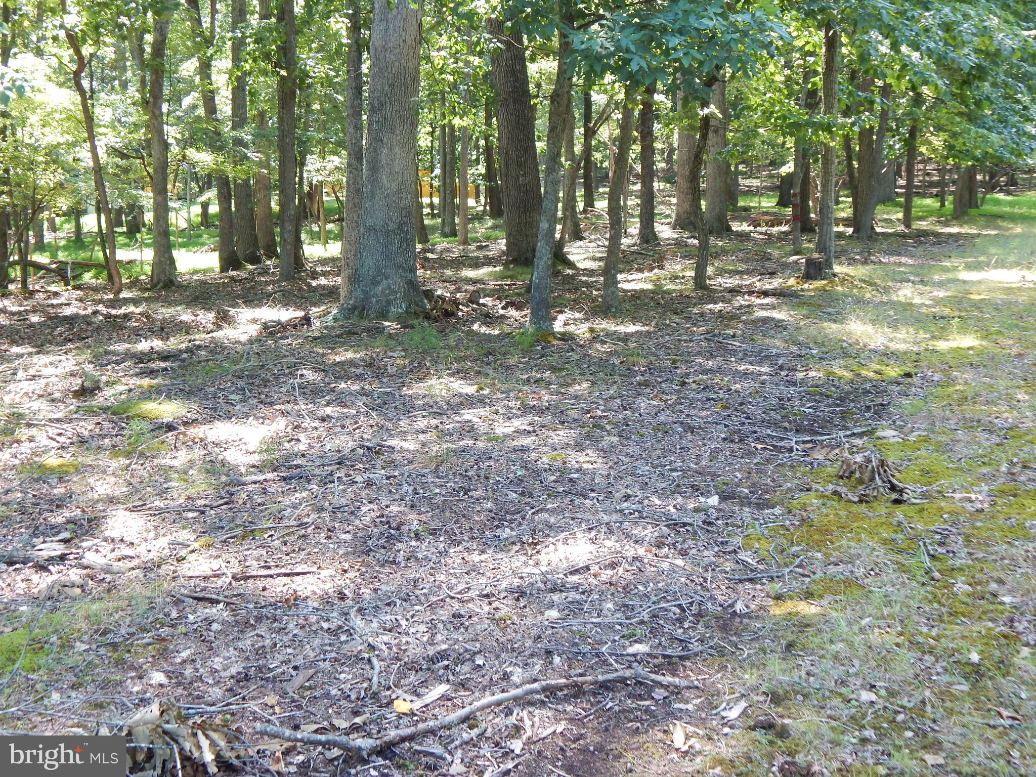 1417 Sideling Mountain TRAIL