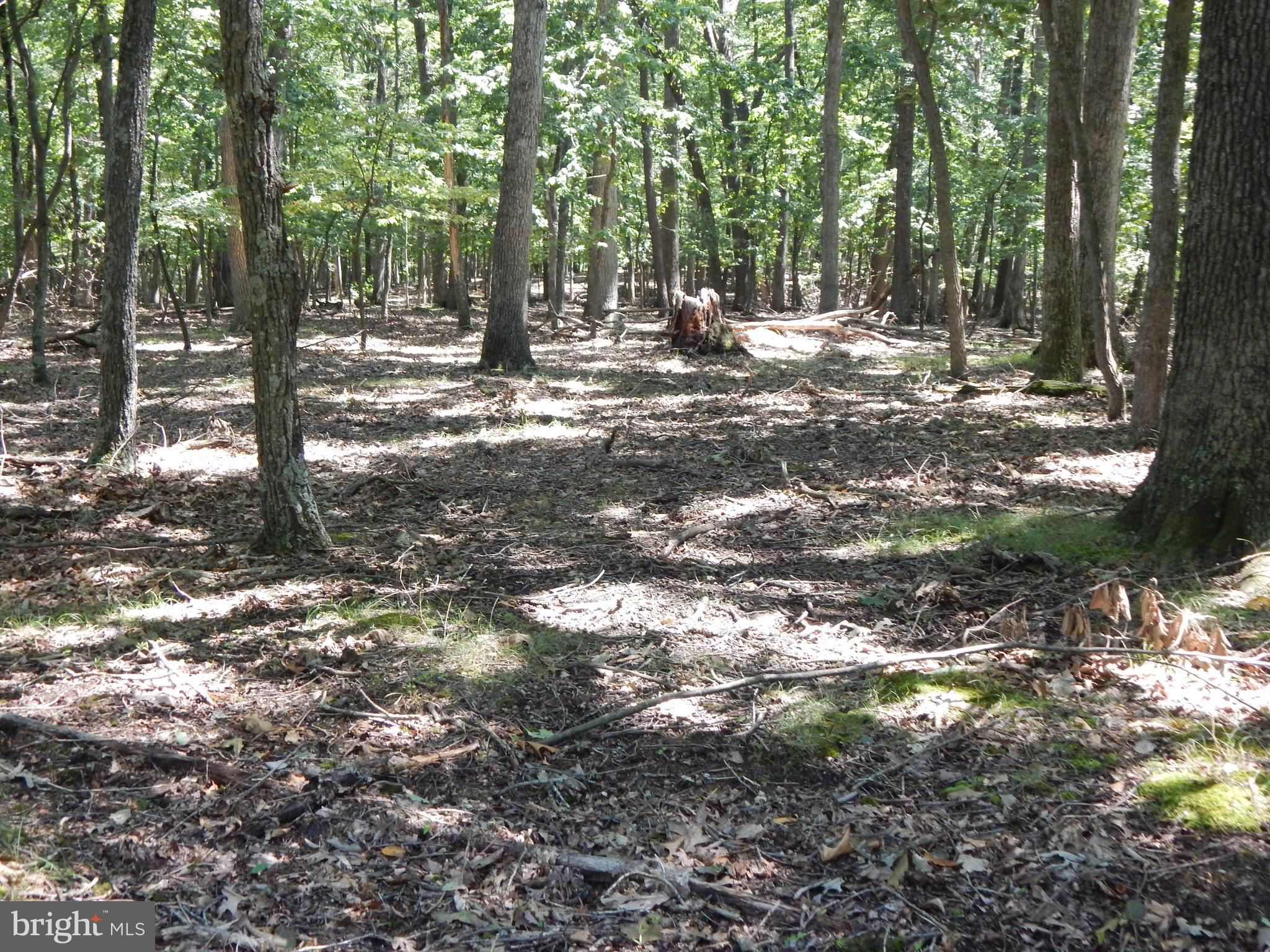 1417 Sideling Mountain TRAIL