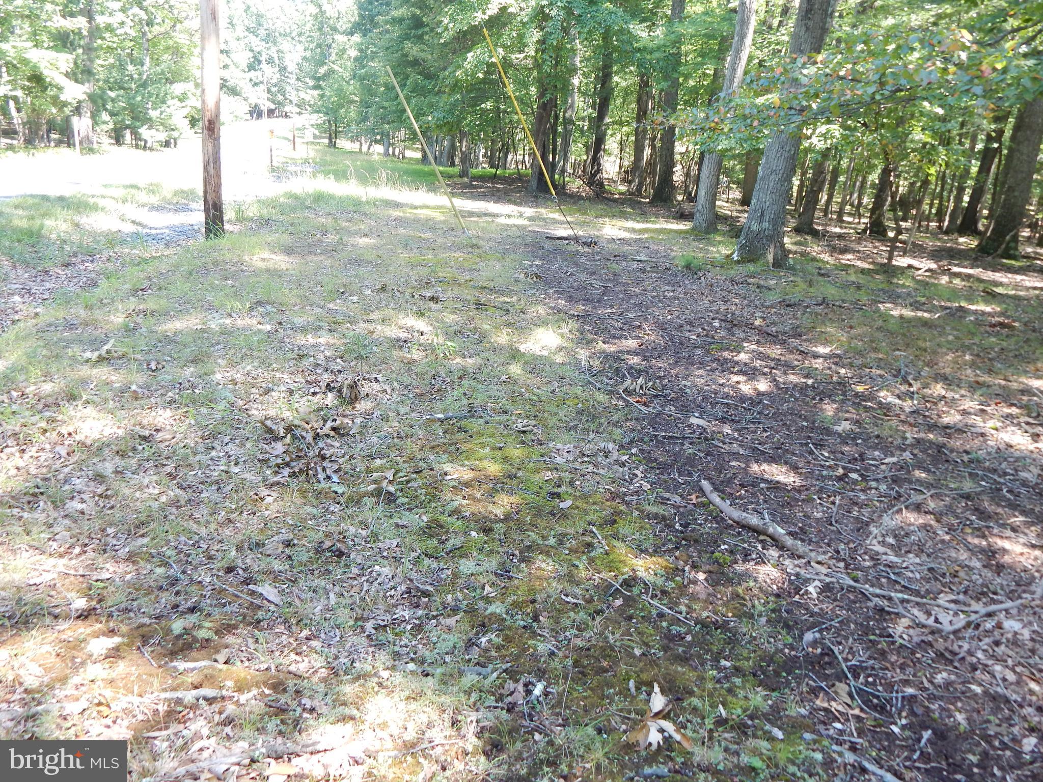 1417 Sideling Mountain TRAIL