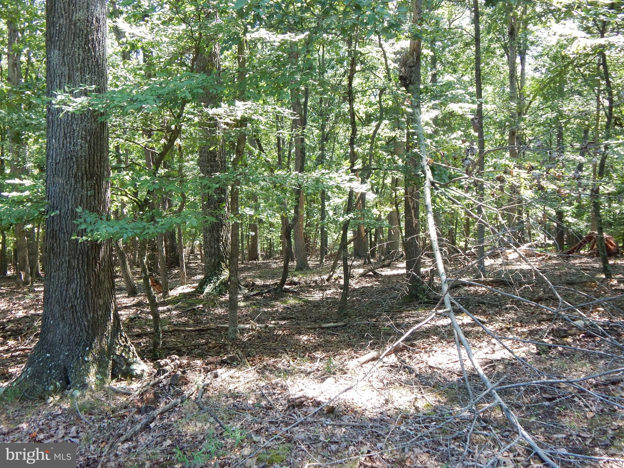 1417 Sideling Mountain TRAIL