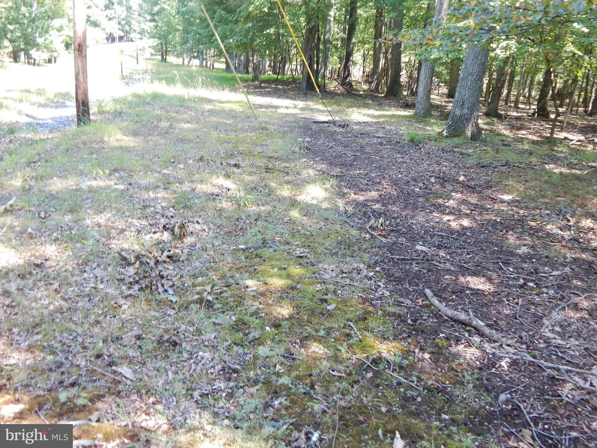 1417 Sideling Mountain TRAIL