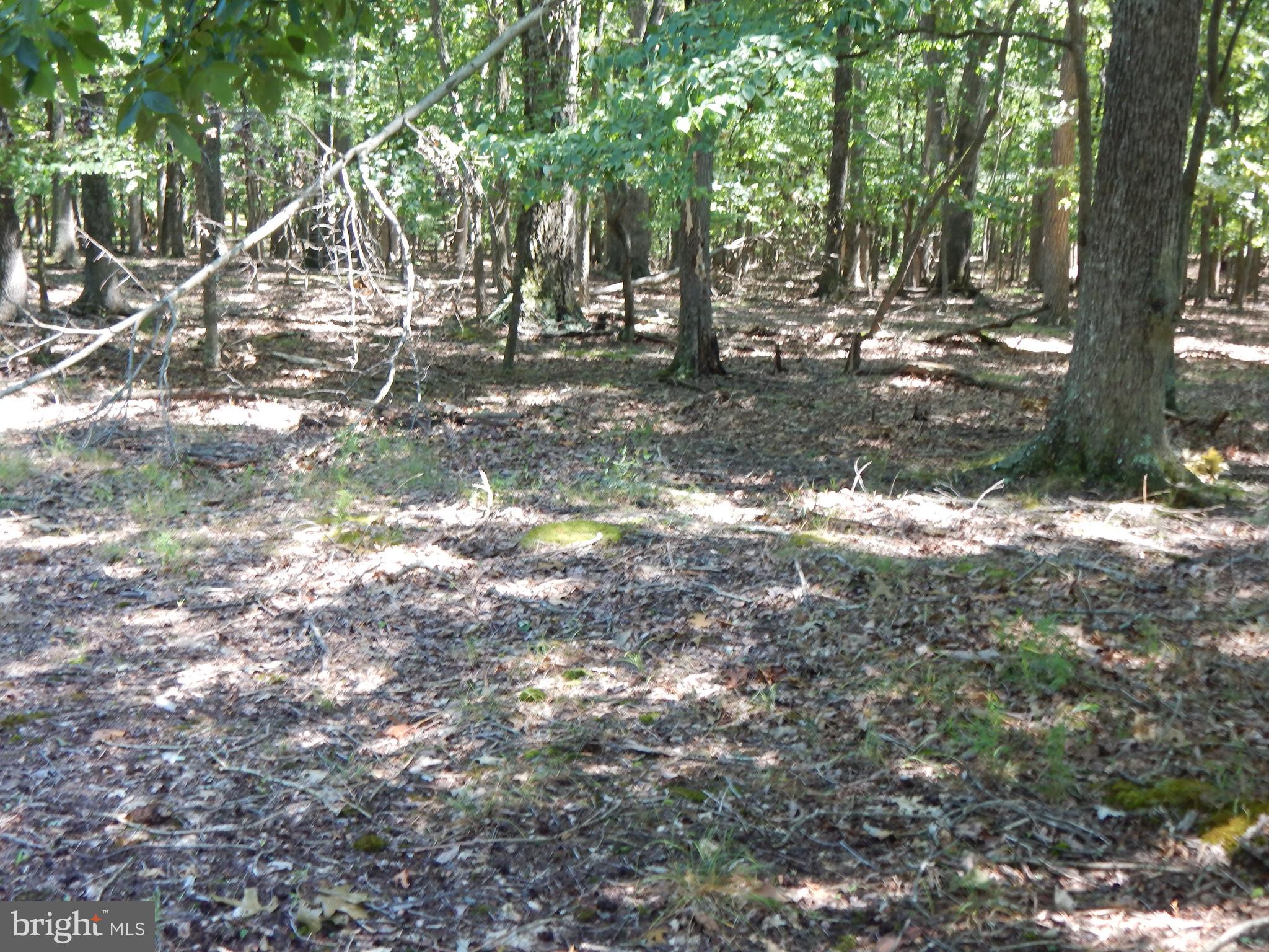 1417 Sideling Mountain TRAIL